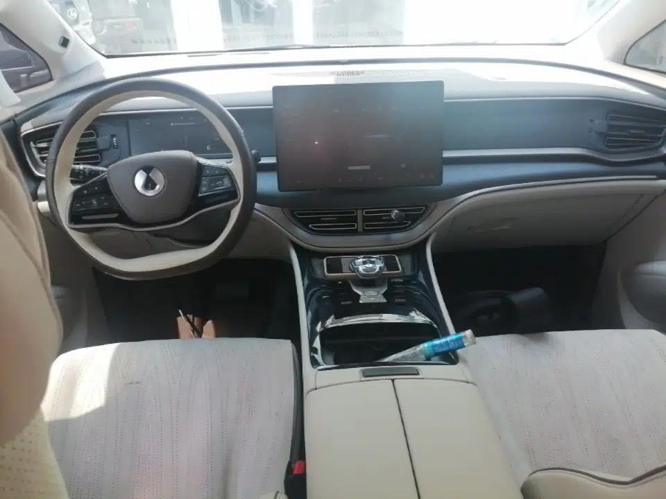 Denza D9 2022 DM-i 970 Four-Wheel Drive Flagship Model — миниатюра 13