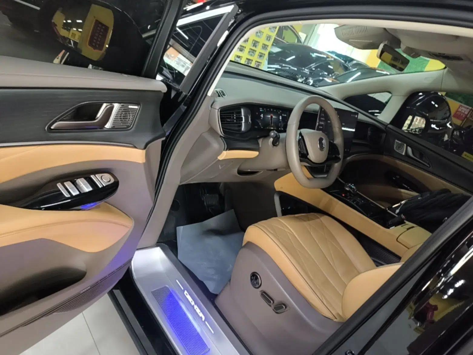 Denza D9 2022 DM-i 970 Four-Wheel Drive Flagship Model — миниатюра 19