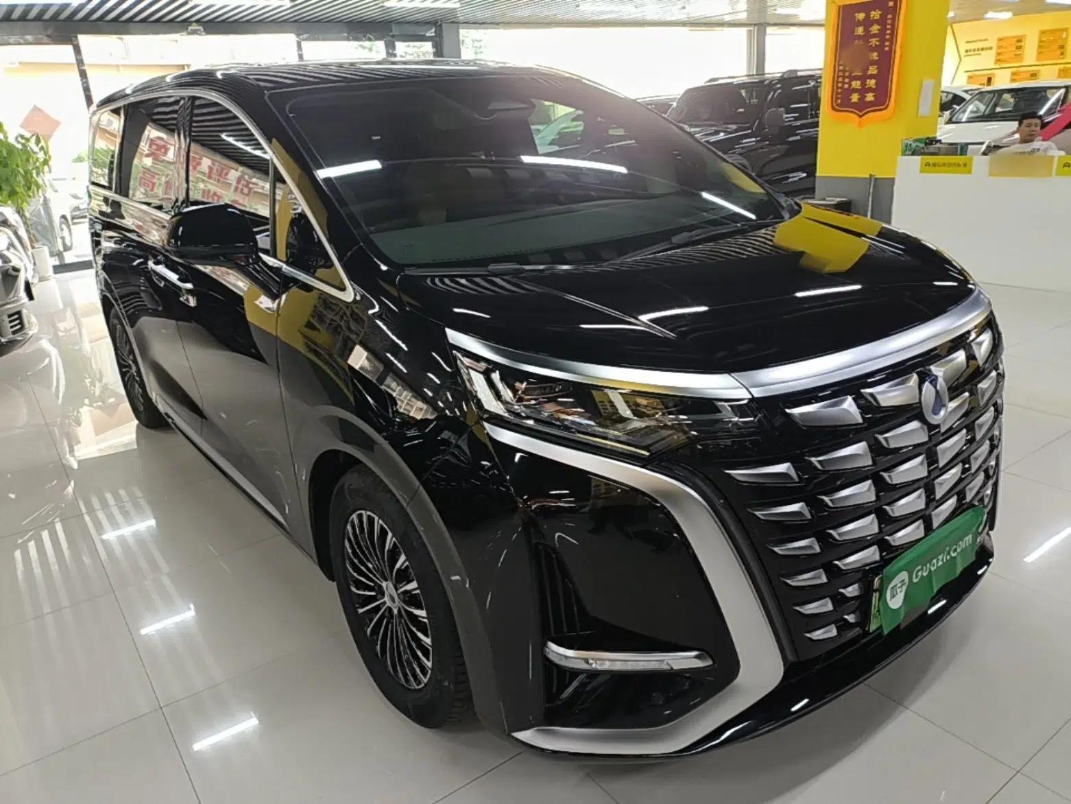 Denza D9 2022 DM-i 970 Four-Wheel Drive Flagship Model — миниатюра 6