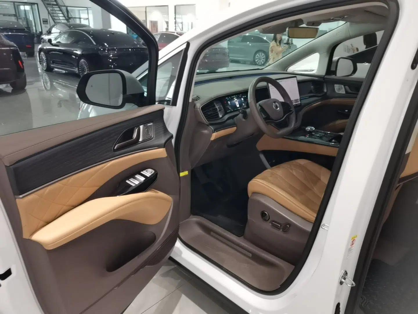 Denza D9 2022 DM-i 970 Four-Wheel Drive Flagship Model — миниатюра 19