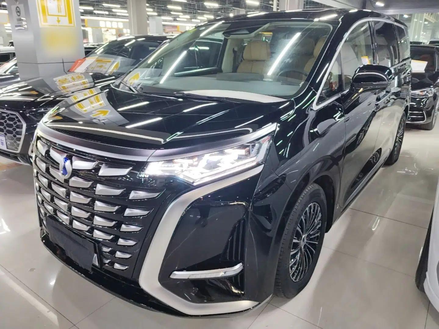 Denza D9 2024 DM-i 1050 Luxury Model — миниатюра 1