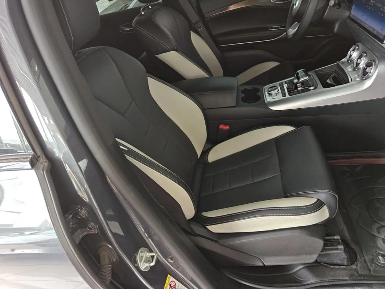 Denza X 2020 PHEV Sport Edition — миниатюра 23