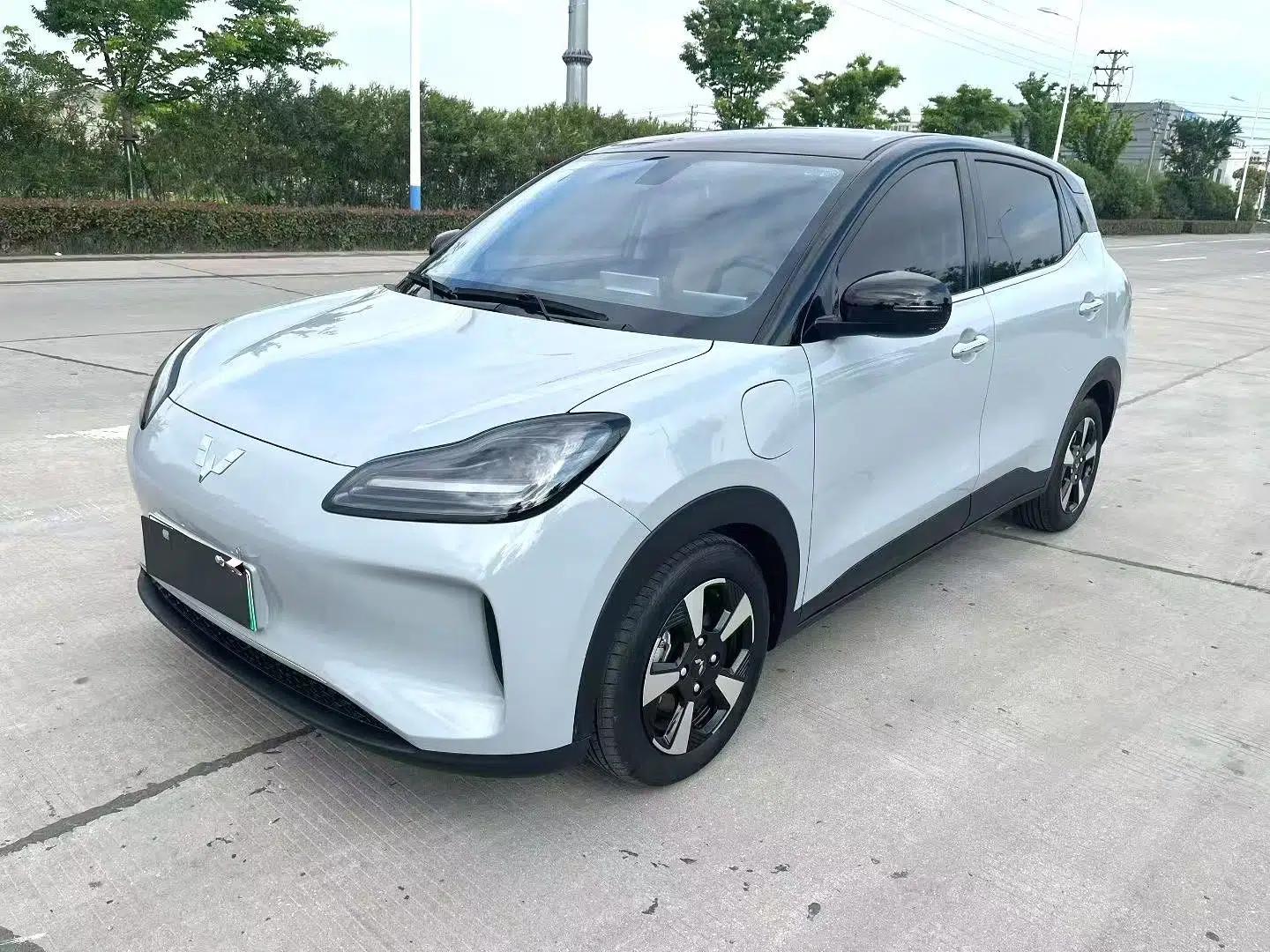 Wuling Bingo PLUS 2024 510 km Flagship Edition Four-Seater Version — миниатюра 1