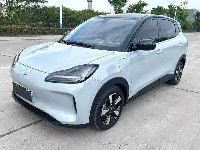 Wuling Bingo PLUS 2024 510 km Flagship Edition Four-Seater Version