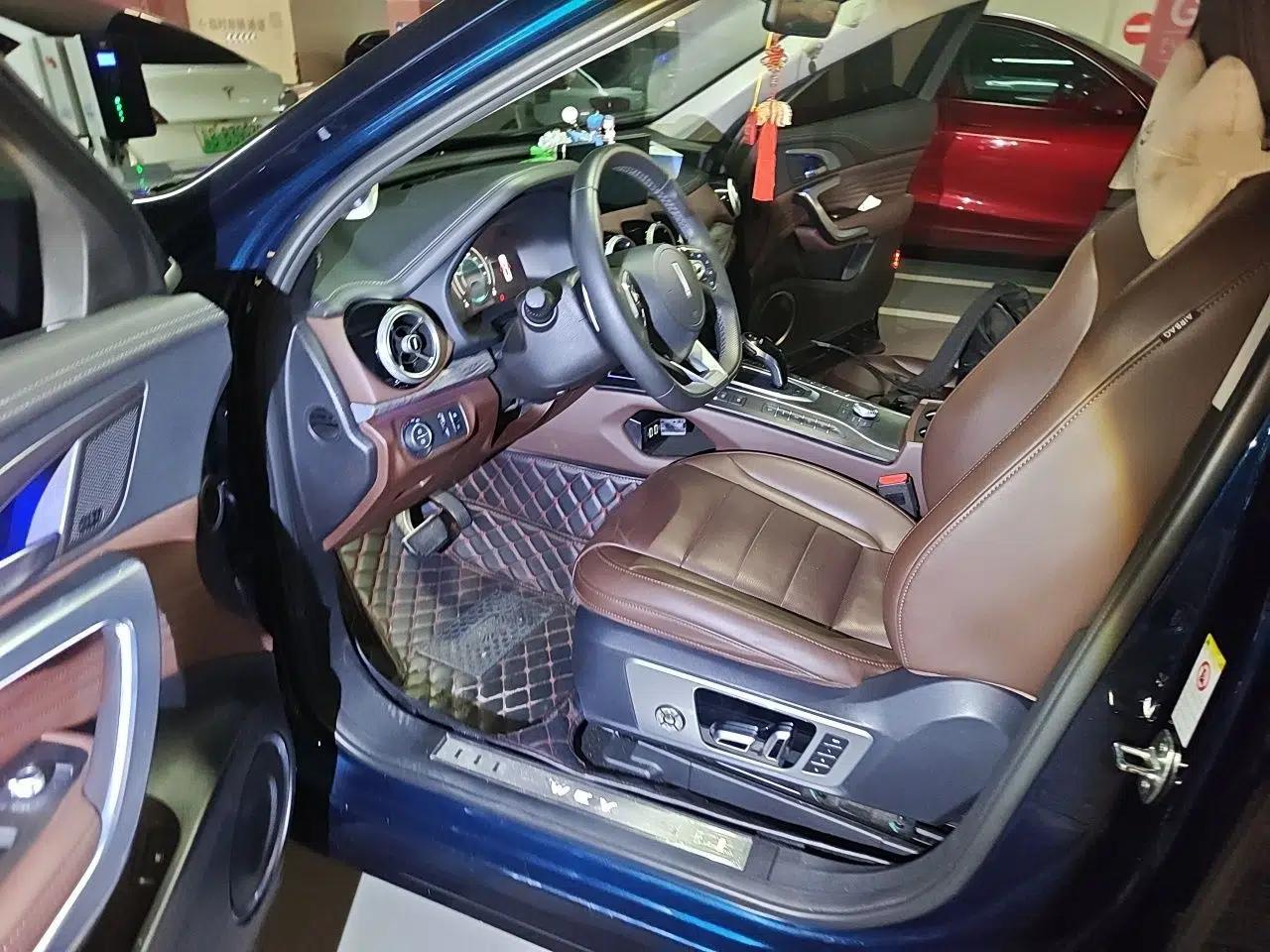 Wey VV7 New Energy 2020 PHEV 2.0T Flagship Model — миниатюра 17
