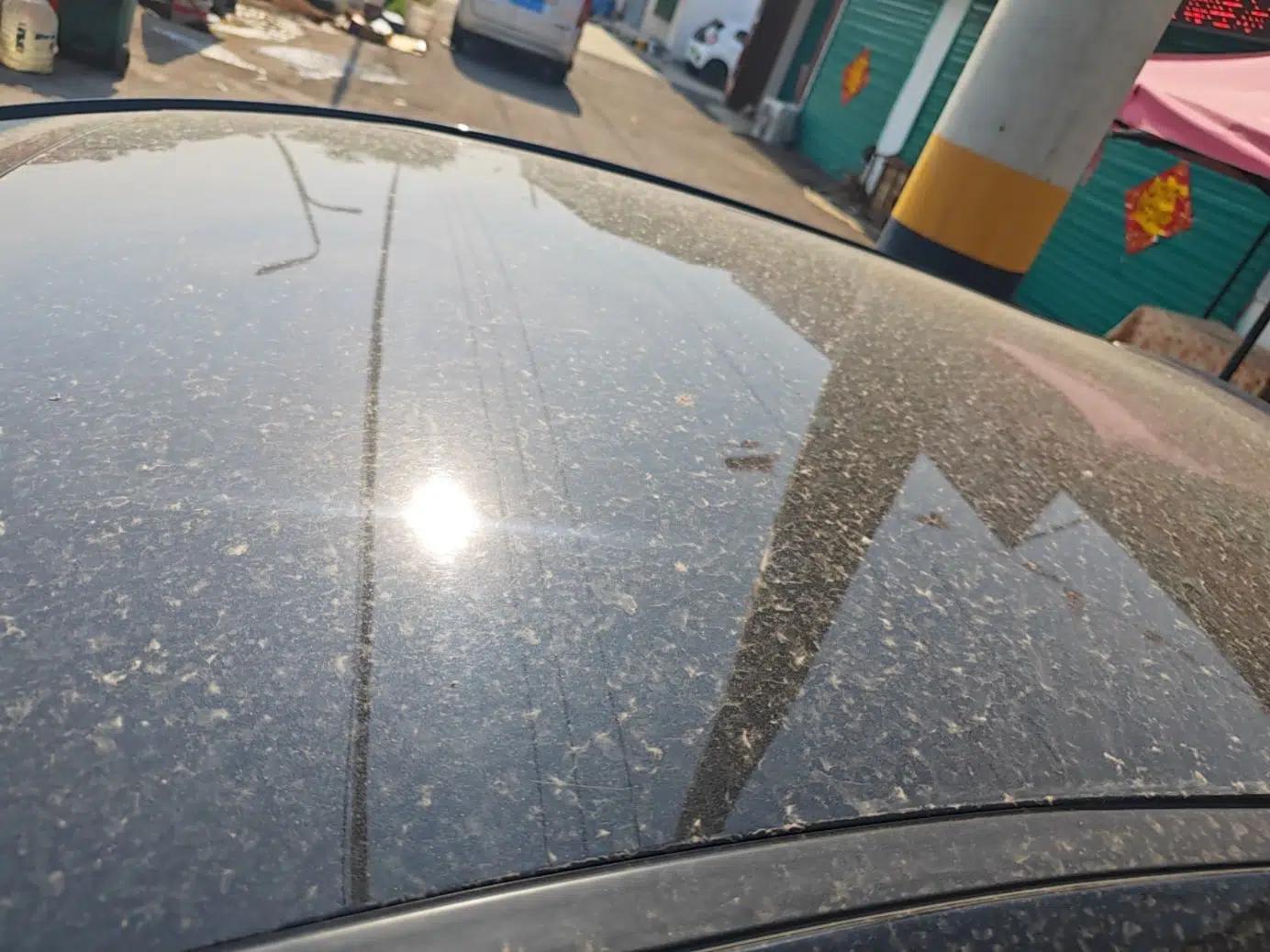 SOL E10X 2021 Jimei Edition 302km Fashionable Model — миниатюра 11