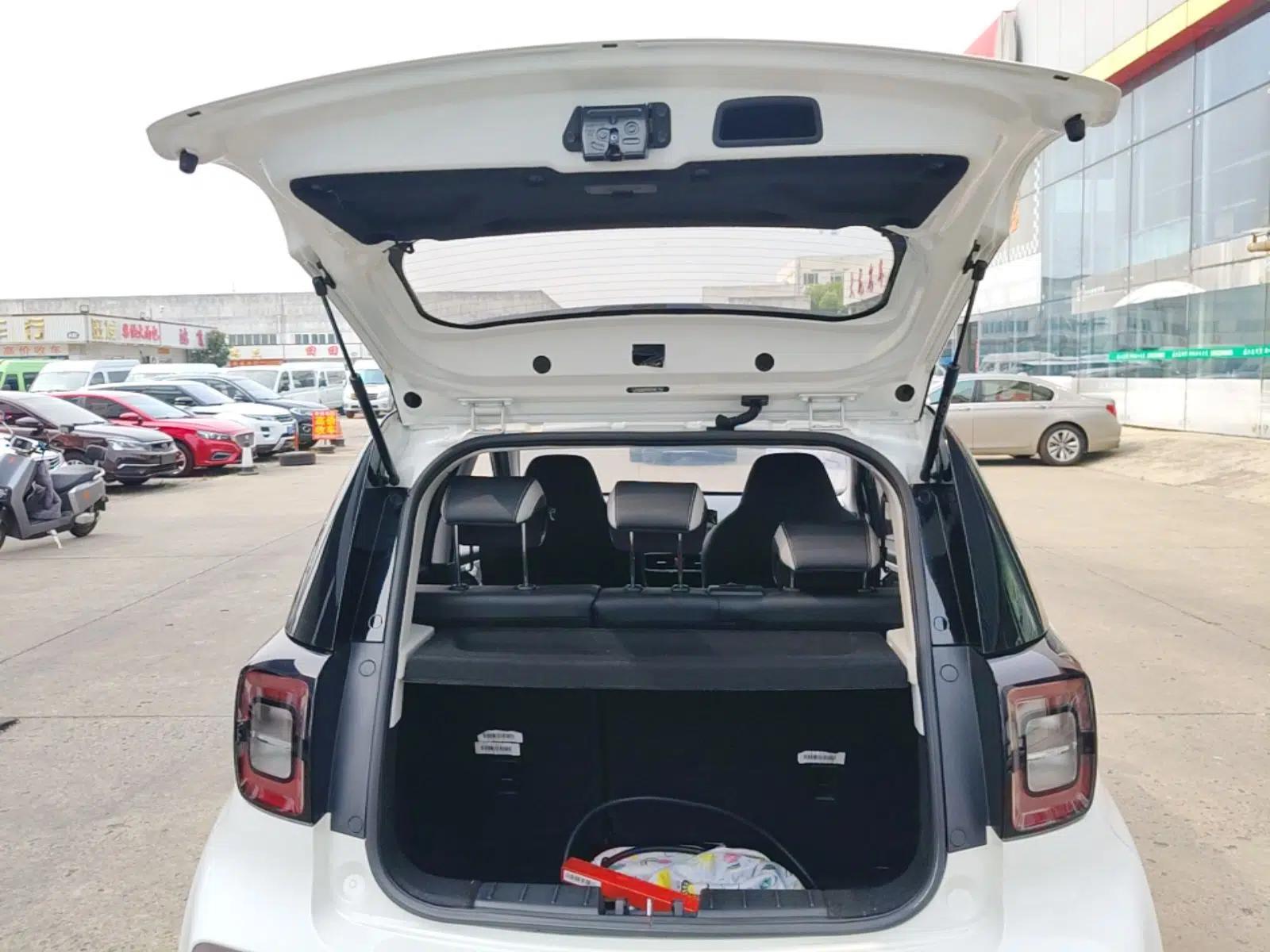 SOL E10X 2021 Jimei Edition 302km Luxury Model — миниатюра 22