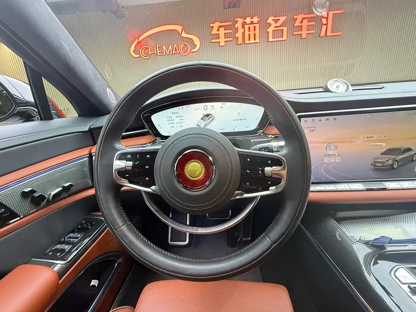 Hongqi Golden Sunflower Elegant 2024 Model 4.0T V8 — миниатюра 10