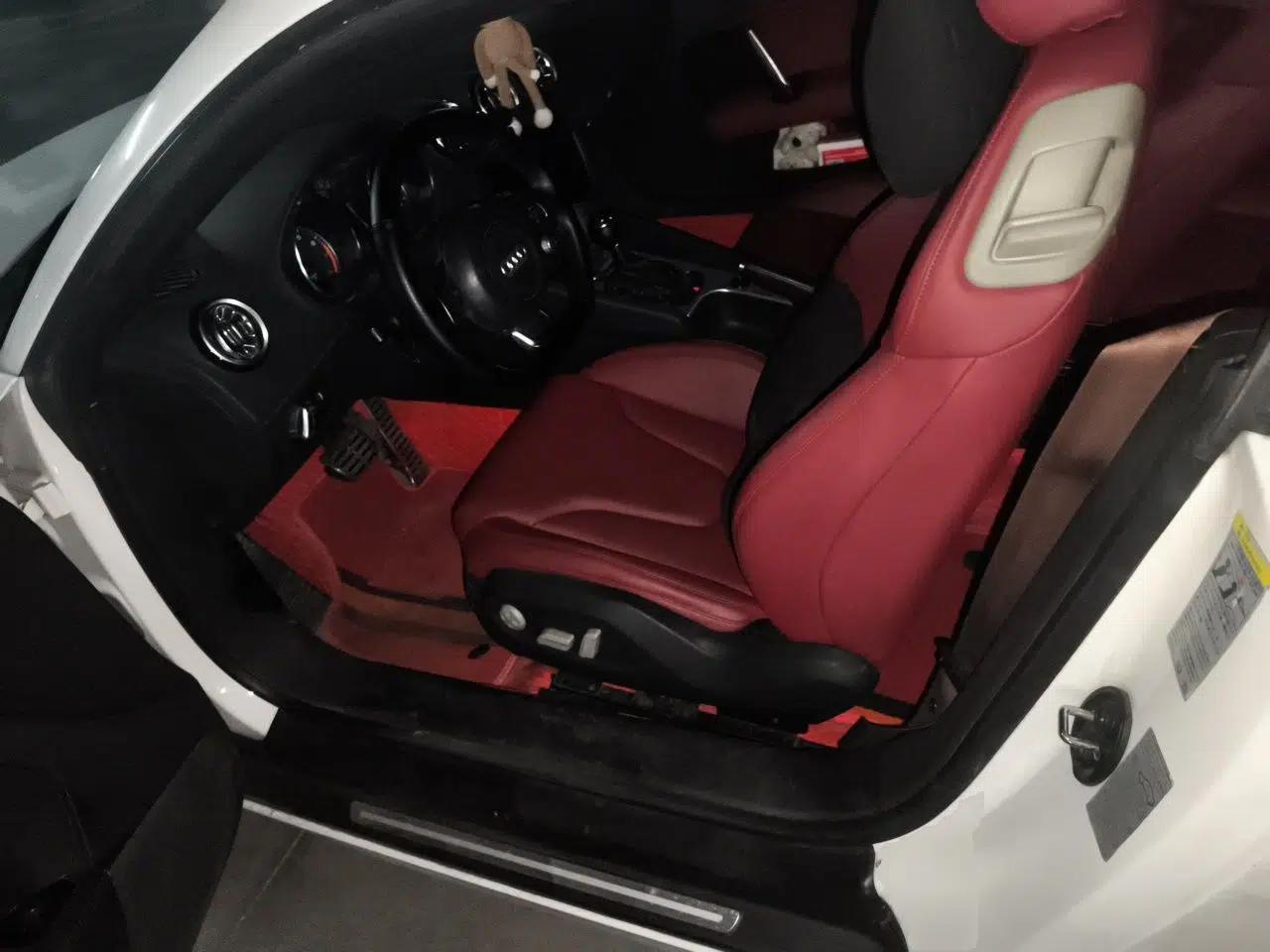 Audi TT 2010 TT 2.0TFSI Collector's Edition — миниатюра 16