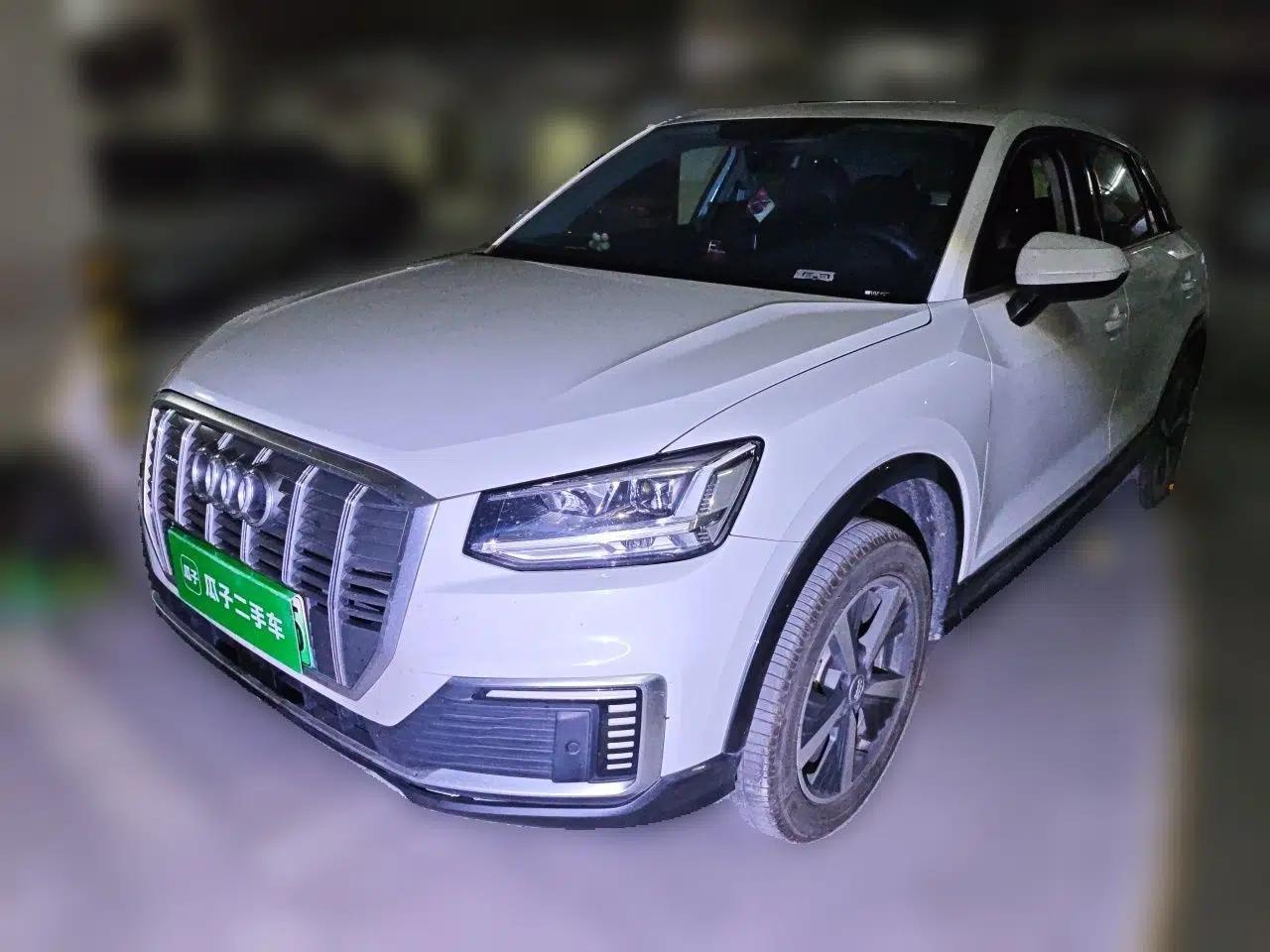 Audi Q2L e-tron 2019 Q2L e-tron Pure Electric Smart Style — миниатюра 1