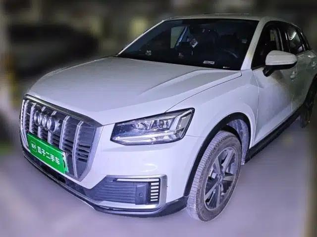 Audi Q2L e-tron 2019 Q2L e-tron Pure Electric Smart Style