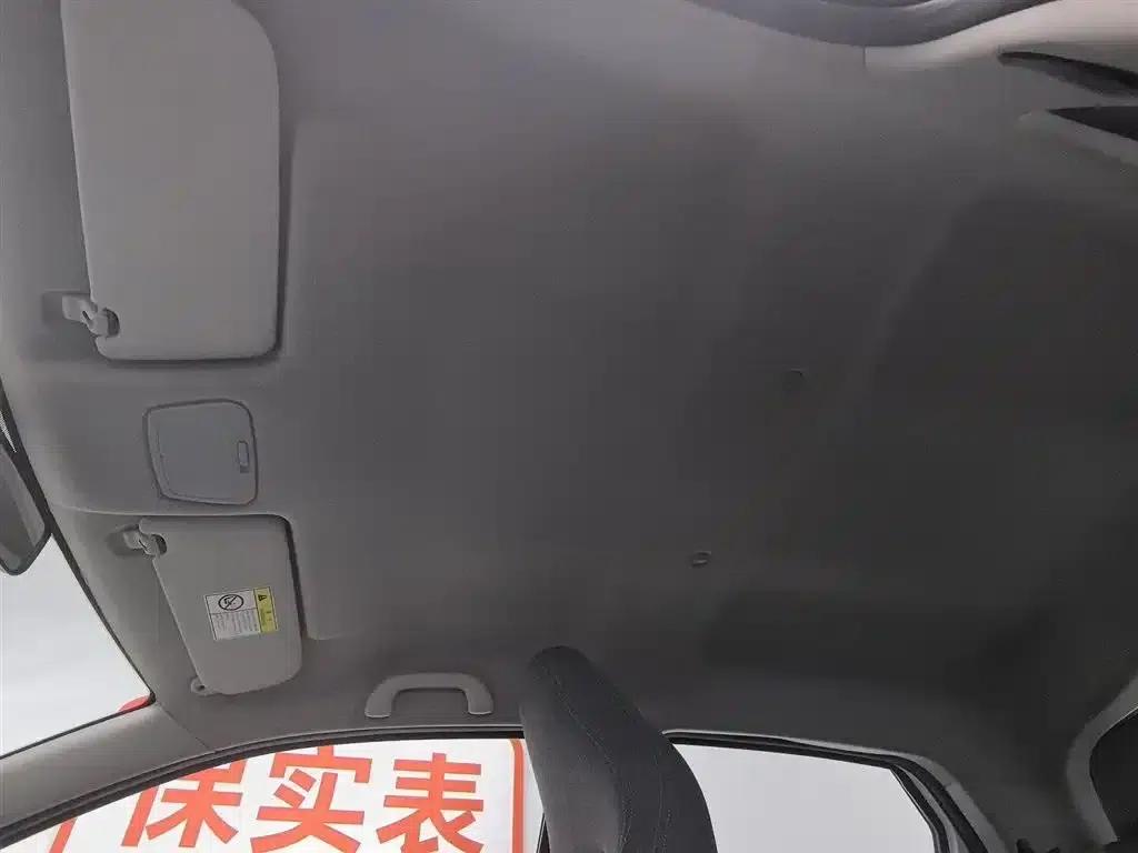 Yizhi EV2 2023 Auspicious Edition 201km Comfort Model — миниатюра 14
