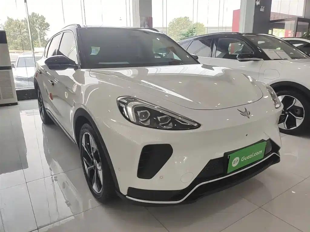 Jihu Alphard T 2024 688E+ Forest Edition PRO 160kW — миниатюра 4