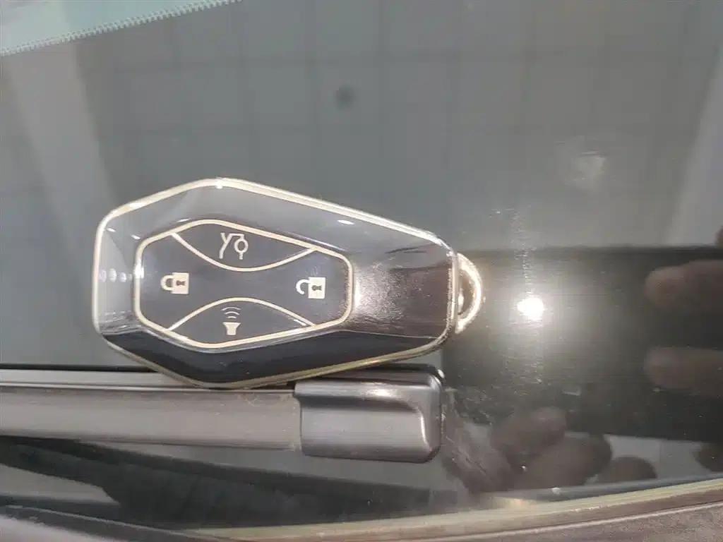 Jihu Alphard T 2024 688E+ Forest Edition PRO 160kW — миниатюра 9