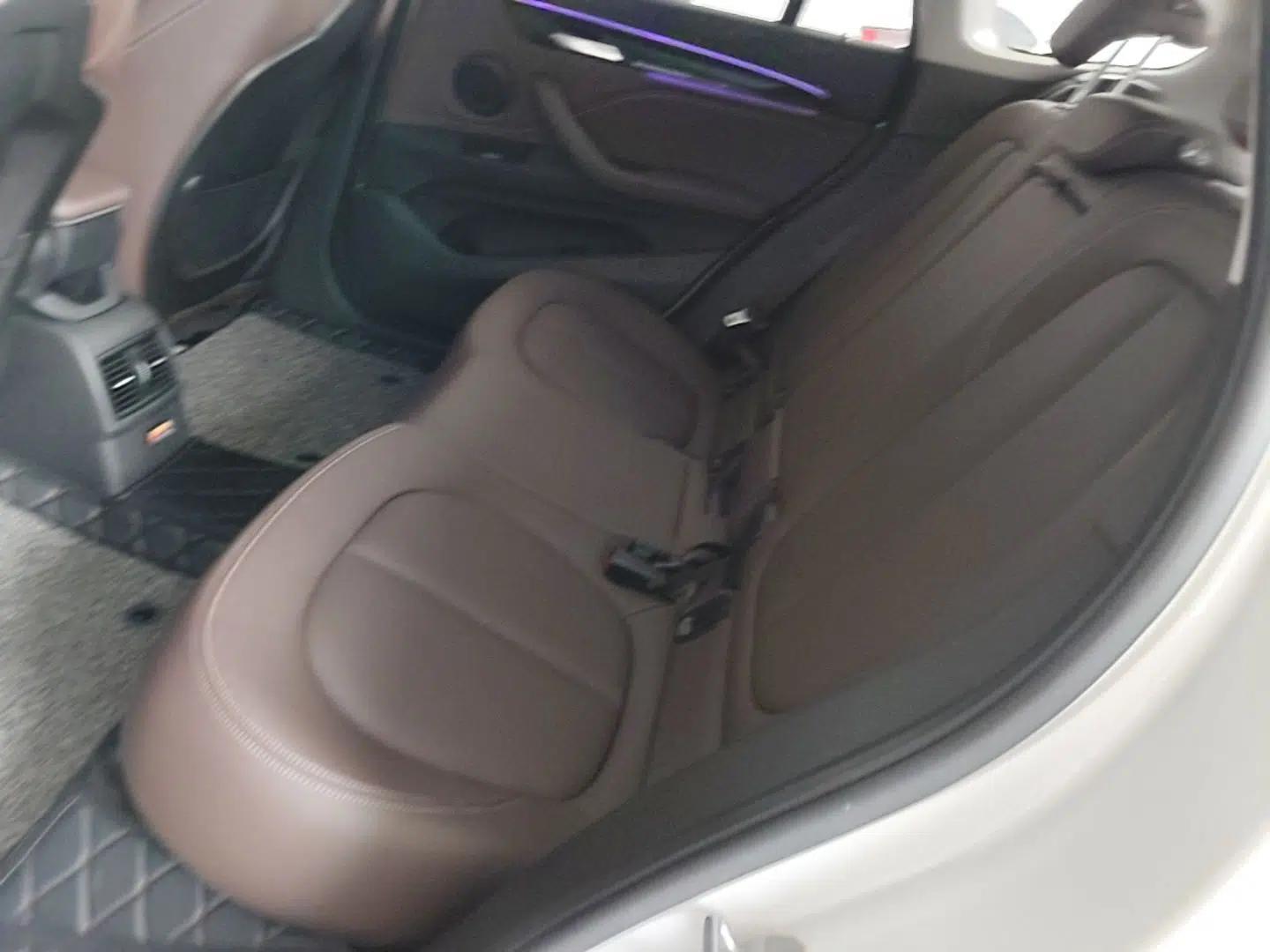 BMW X1 New Energy 2020 xDrive30Le Premium Edition — миниатюра 20