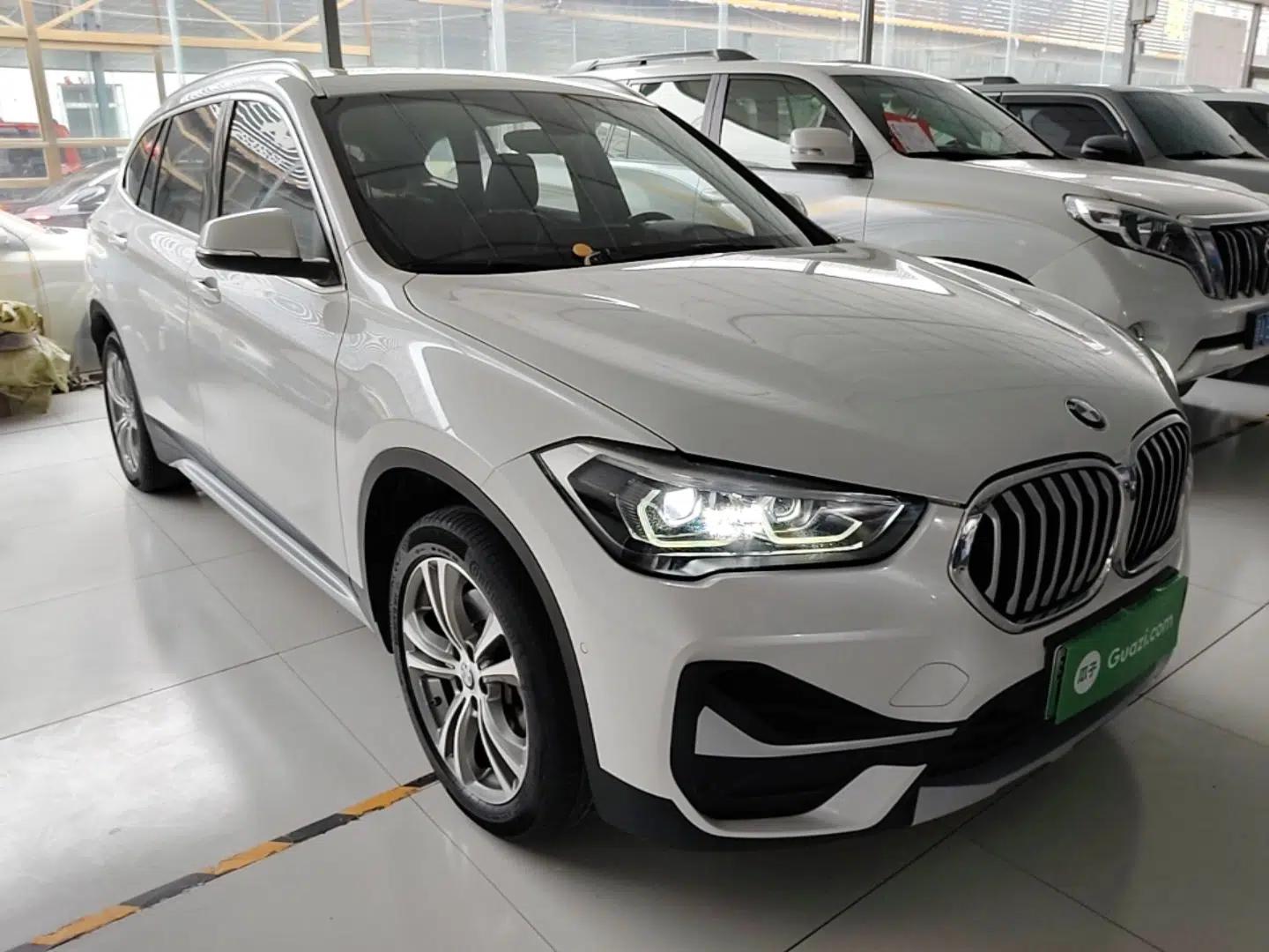 BMW X1 New Energy 2020 xDrive30Le Premium Edition — миниатюра 3