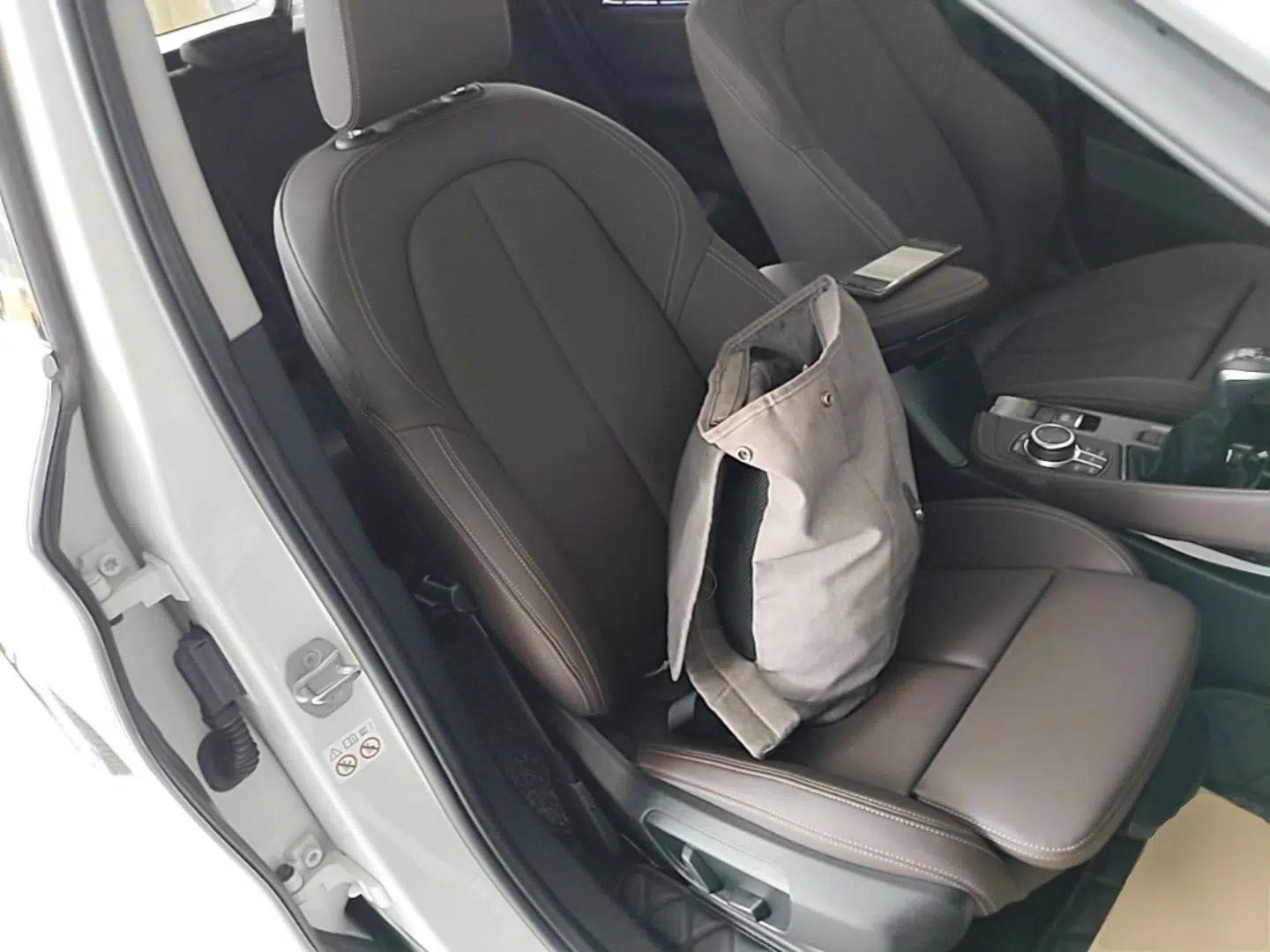 BMW X1 New Energy 2020 xDrive30Le Premium Edition — миниатюра 23
