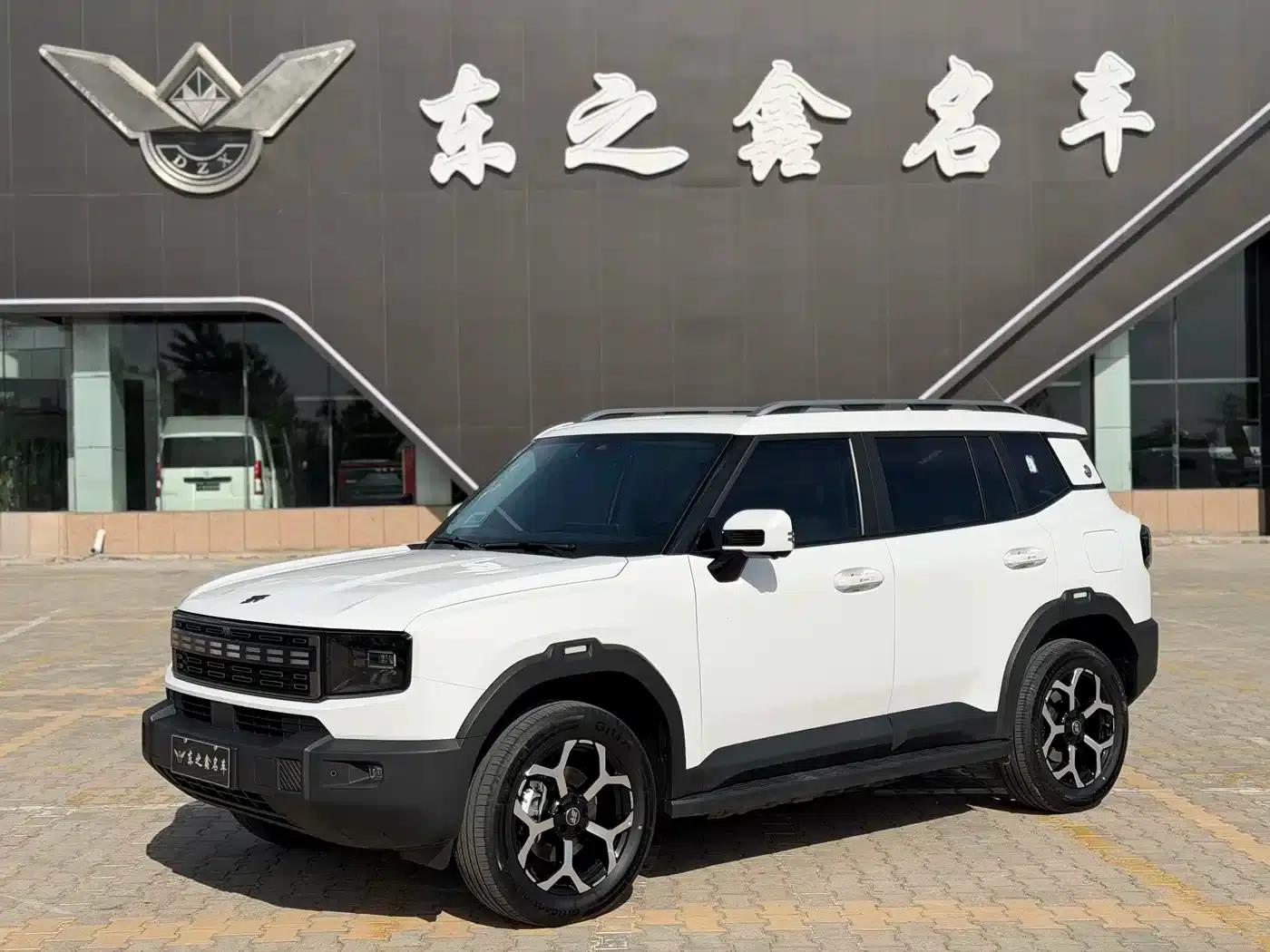 Jetour Mountain & Sea T1 2024 Model 150km Coastal — миниатюра 1