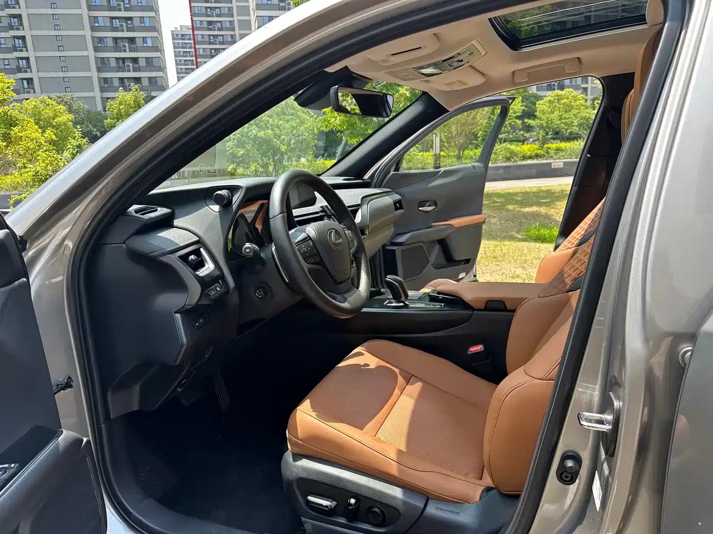 Lexus UX PHEV 2020 300e Pure Enjoyment Edition — миниатюра 8