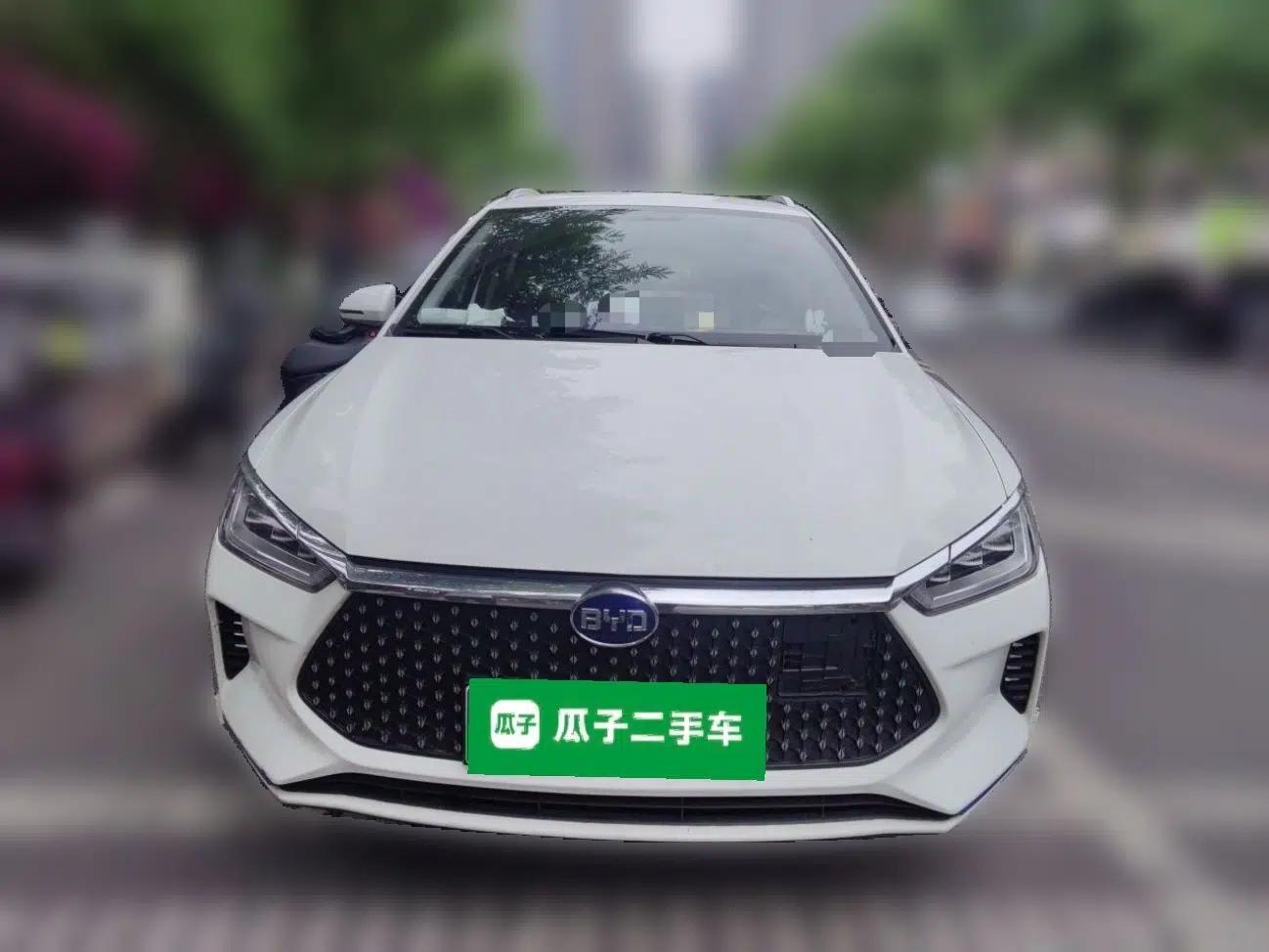 BYD e2 2021 Luxury Model — миниатюра 2