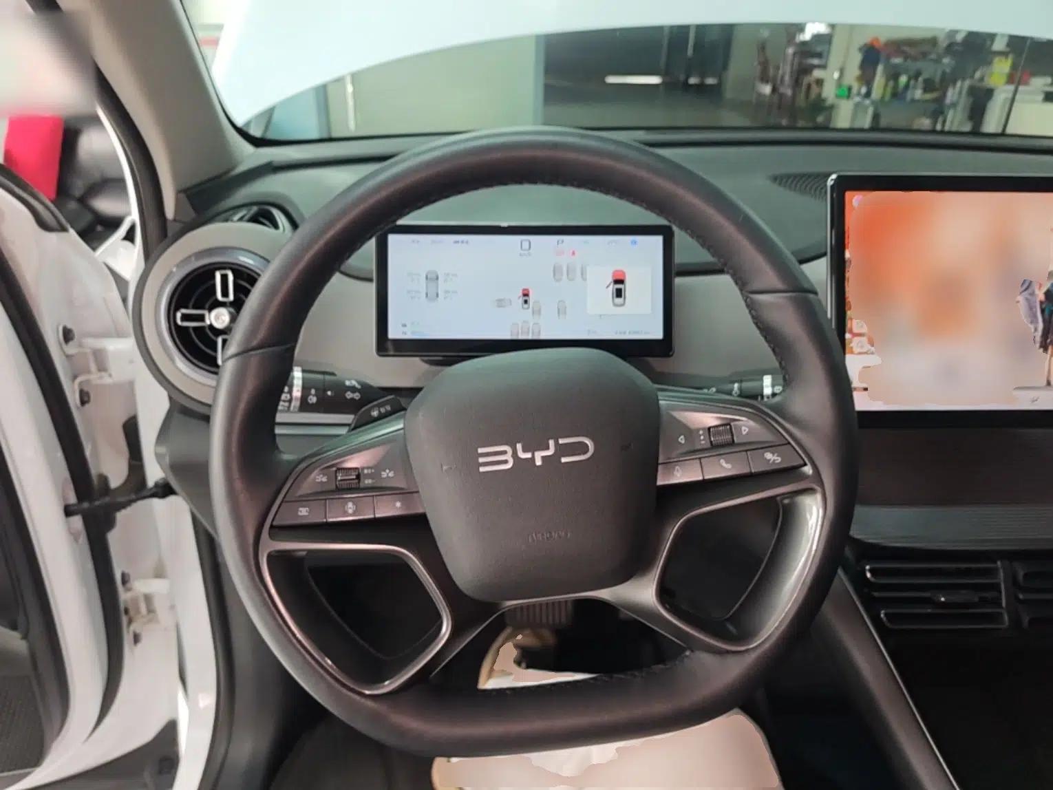 BYD Sealion 05 DM-i 2025 DM-i Smart Drive 75KM Luxury Model — миниатюра 14