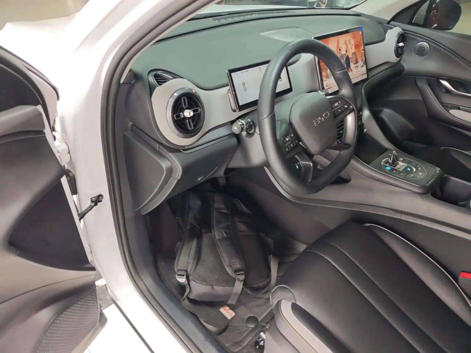 BYD Sealion 05 DM-i 2025 DM-i Smart Drive 75KM Luxury Model — миниатюра 19