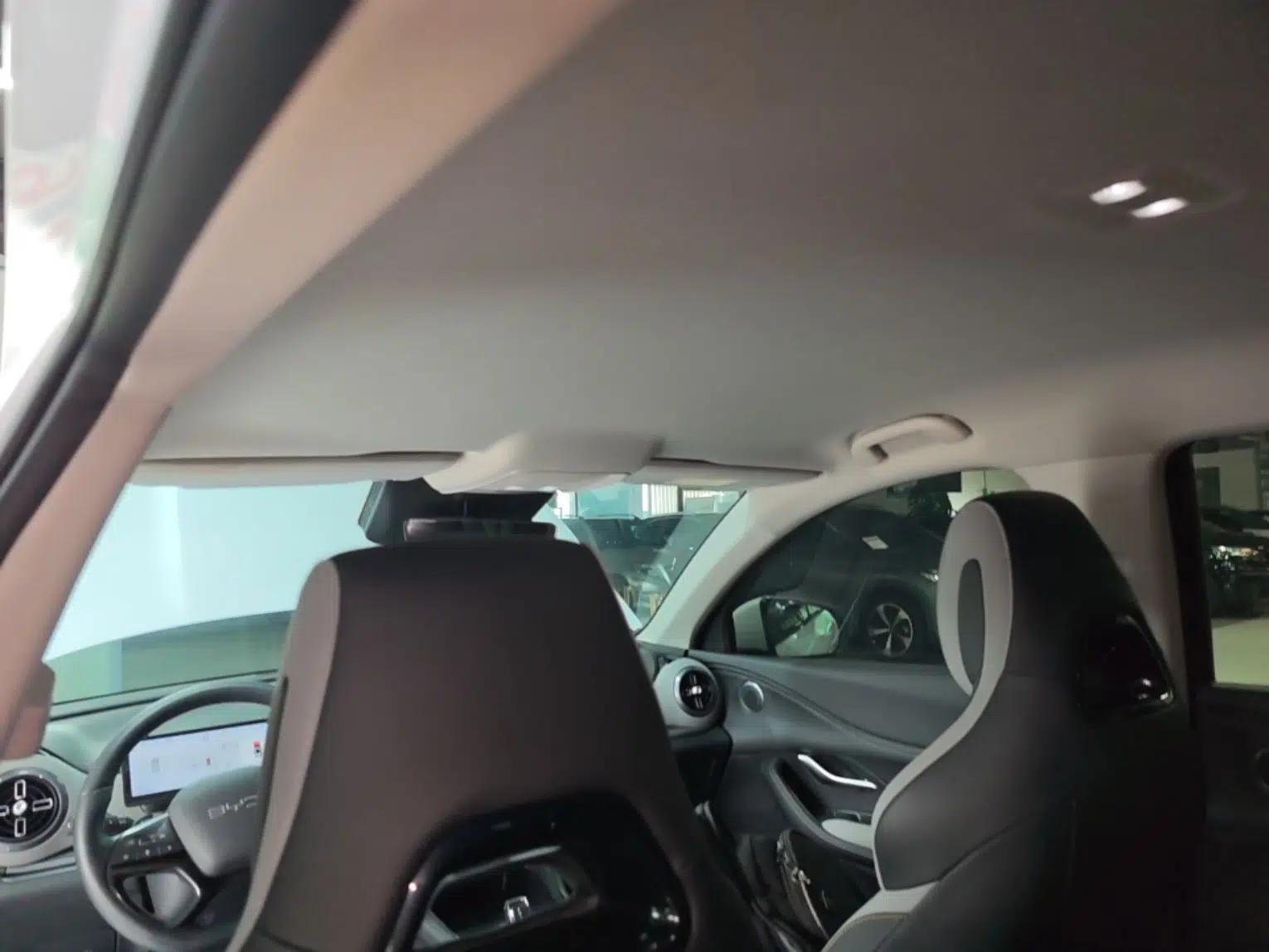 BYD Sealion 05 DM-i 2025 DM-i Smart Drive 75KM Luxury Model — миниатюра 21