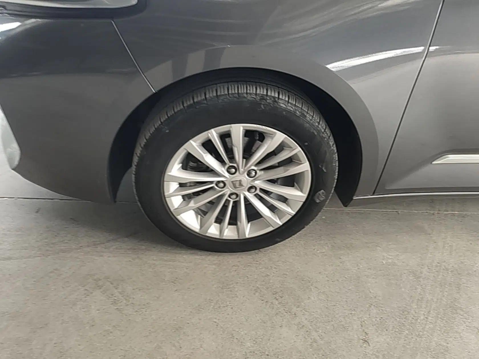 Baojun Valli 2021 1.5T Dali Sky CVT Premium Edition — миниатюра 8