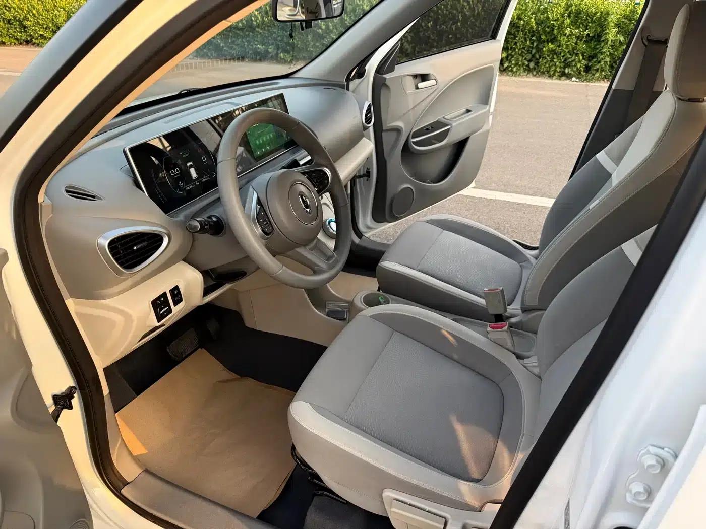 ORA White Cat 2020 360km Luxury Edition — миниатюра 9