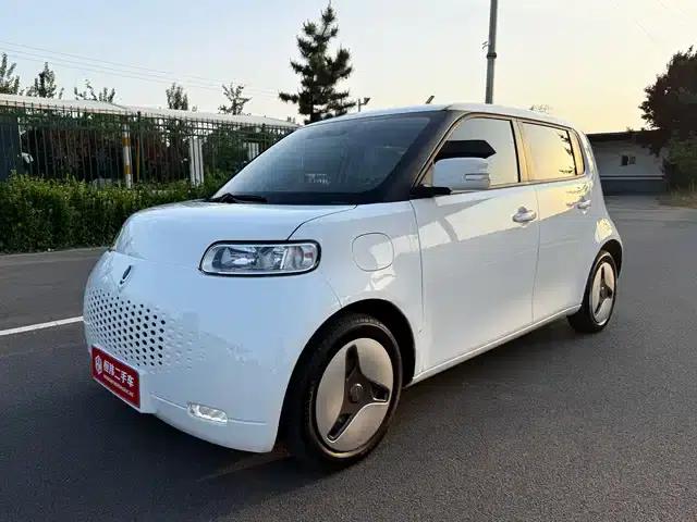 ORA White Cat 2020 360km Luxury Edition