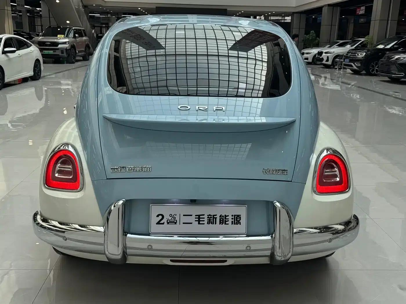 Euler Ballet Cat 2022 500km Sleeping Beauty Edition — миниатюра 13