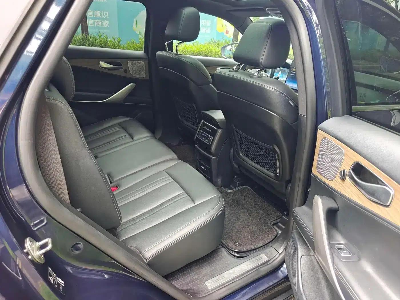 Denza X 2020 PHEV Classic Edition — миниатюра 20