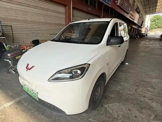 Wuling Hongguang New Energy 2024 Pure Electric Version 300KM Standard Edition