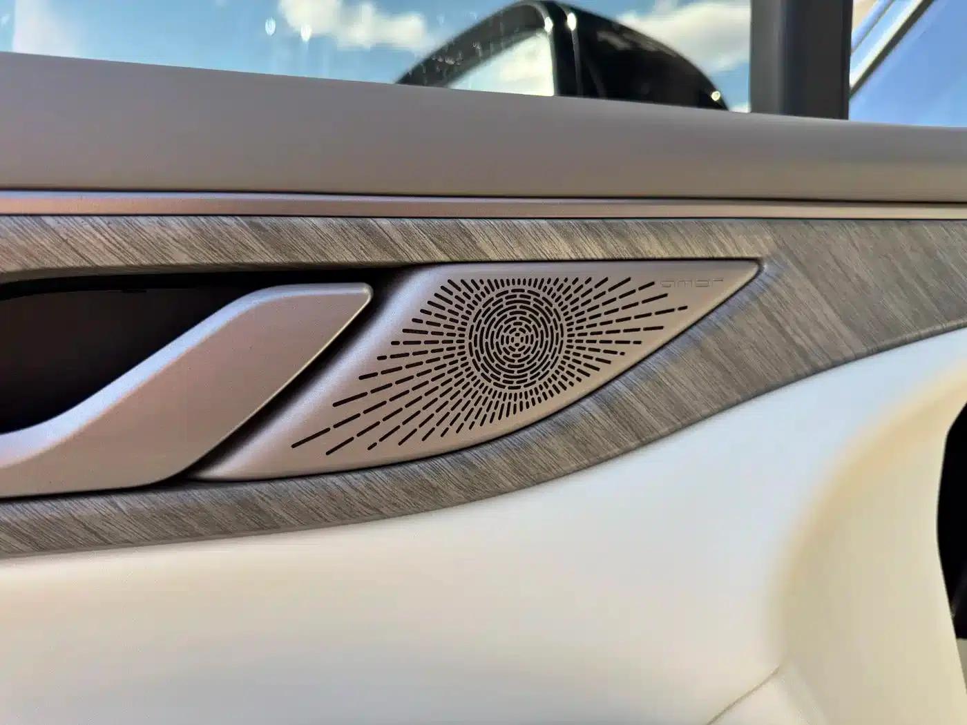 Weipai Gaoshan 2025 Model 4WD Gaoshan 8 — миниатюра 21