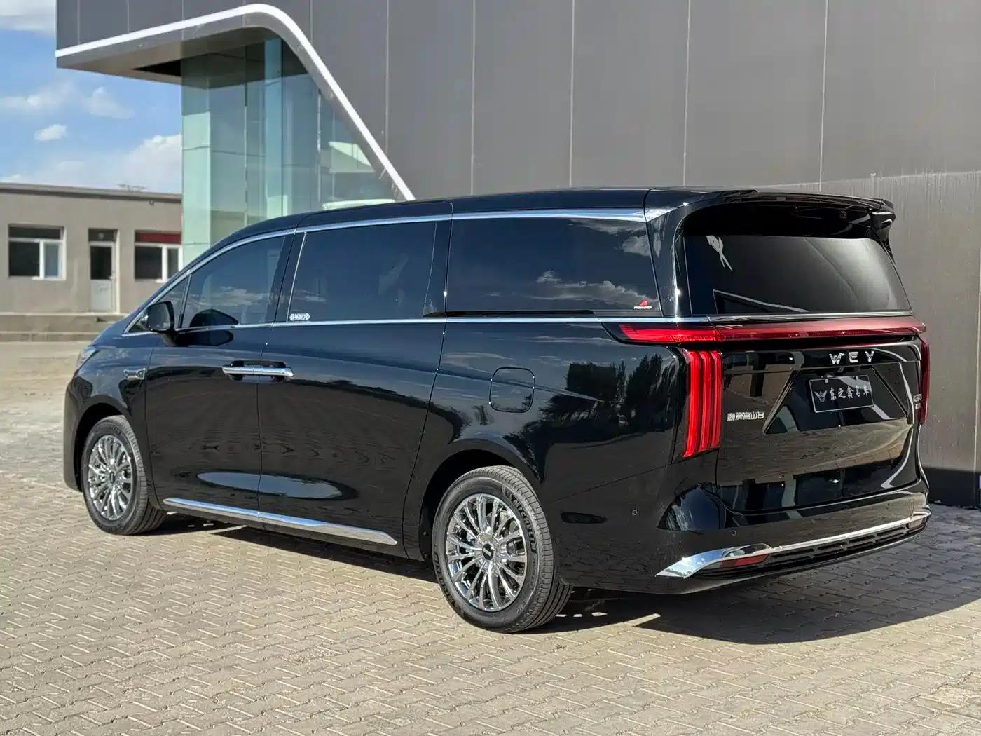 Weipai Gaoshan 2025 Model 4WD Gaoshan 8 — миниатюра 6