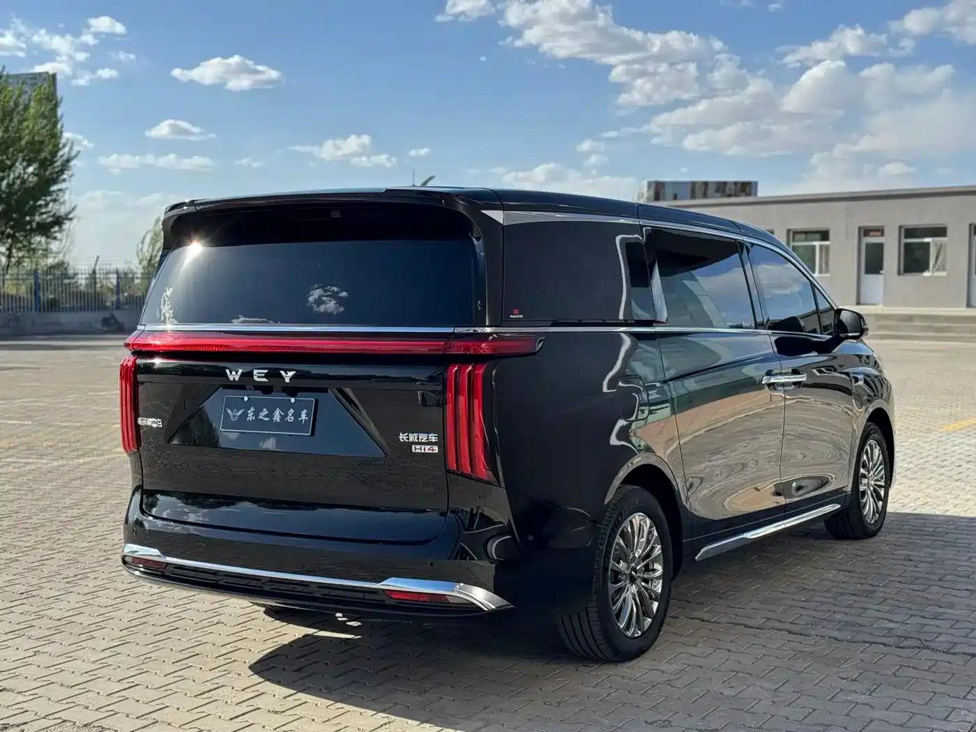 Weipai Gaoshan 2025 Model 4WD Gaoshan 8 — миниатюра 7