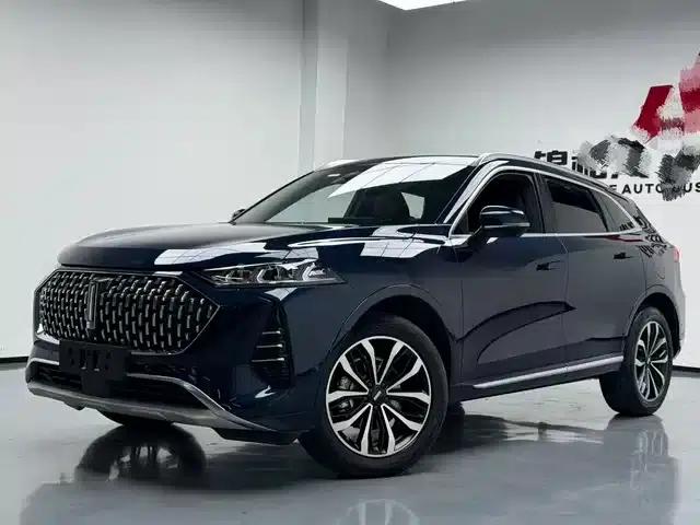 Wey brand Mocha 2021 2.0T 4WD Special Edition