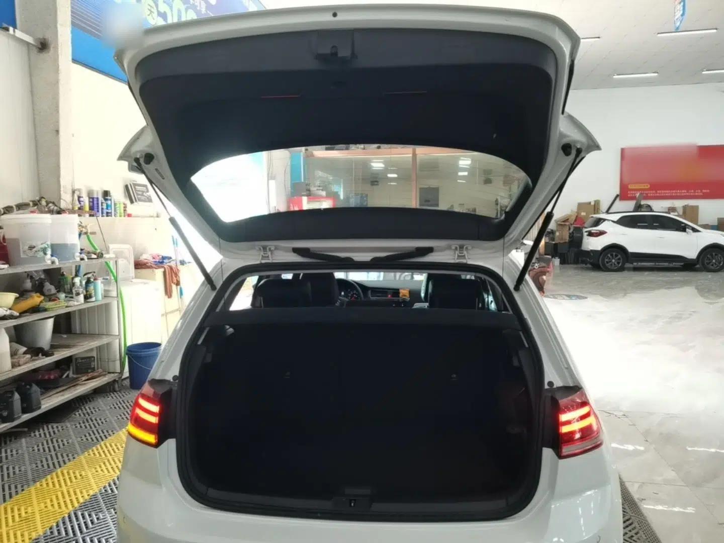 Volkswagen Golf Pure Electric 2020 Chari — миниатюра 22