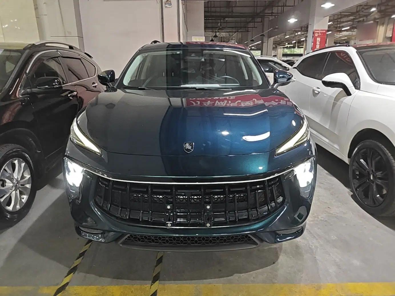 FORTHING T5 EVO 2021 1.5TD DCT Diamond Edition — миниатюра 2