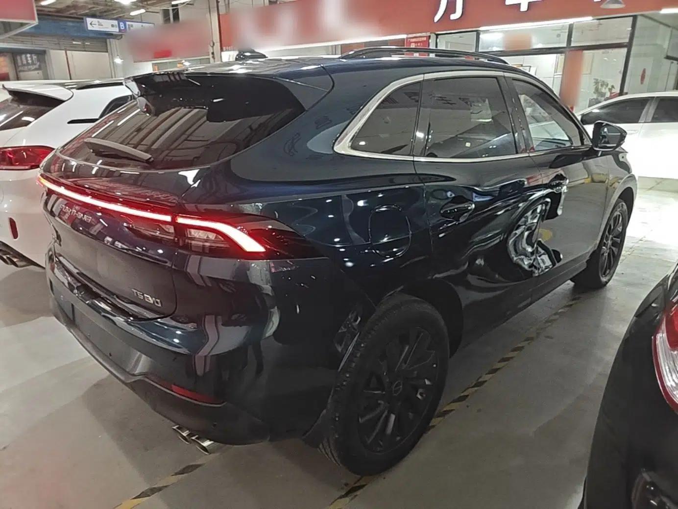 FORTHING T5 EVO 2021 1.5TD DCT Diamond Edition — миниатюра 6