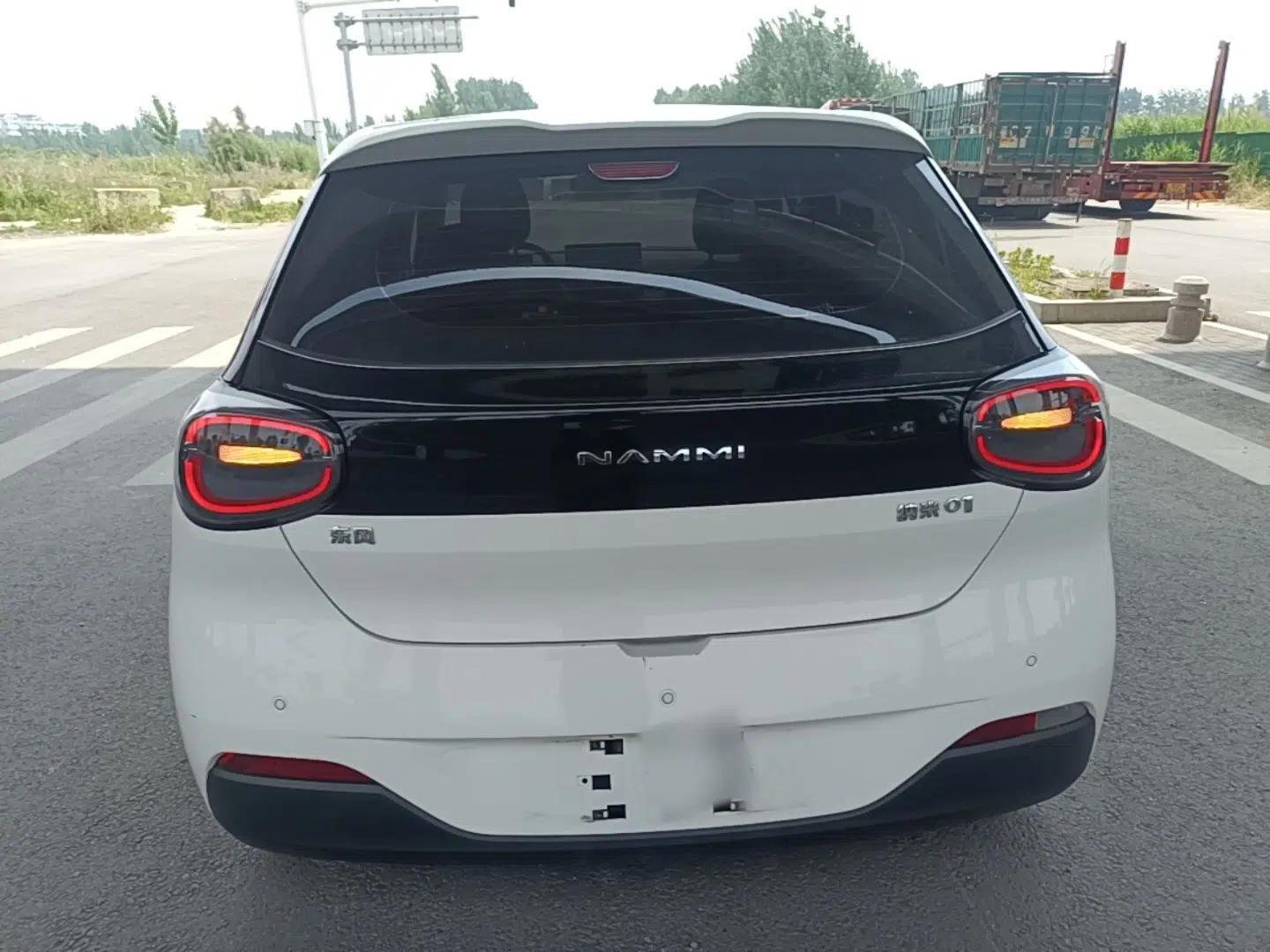 Dongfeng NAMMI 01 2024 330 Plus — миниатюра 3