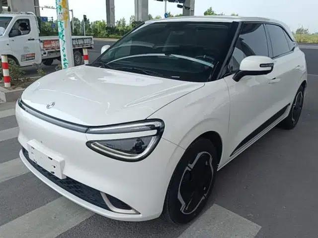 Dongfeng NAMMI 01 2024 330 Plus