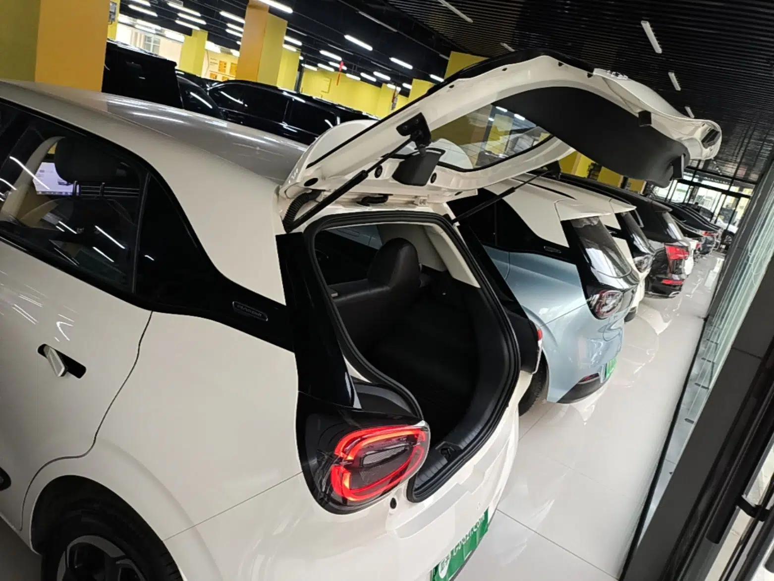 Dongfeng NAMMI 01 2024 430 Plus Smart+ — миниатюра 22