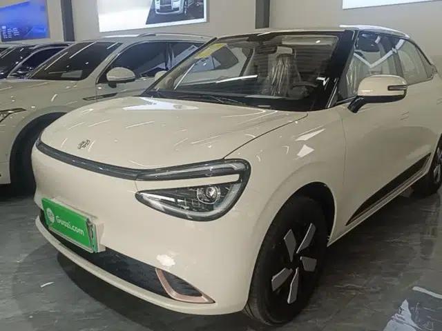 Dongfeng NAMMI 01 2025 330KM Youth Edition
