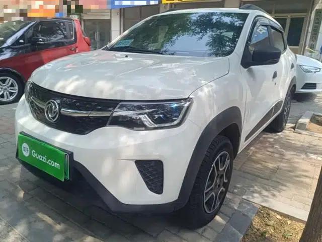 Dongfeng NAMMI EX1 2022 PRO Enjoyment Model