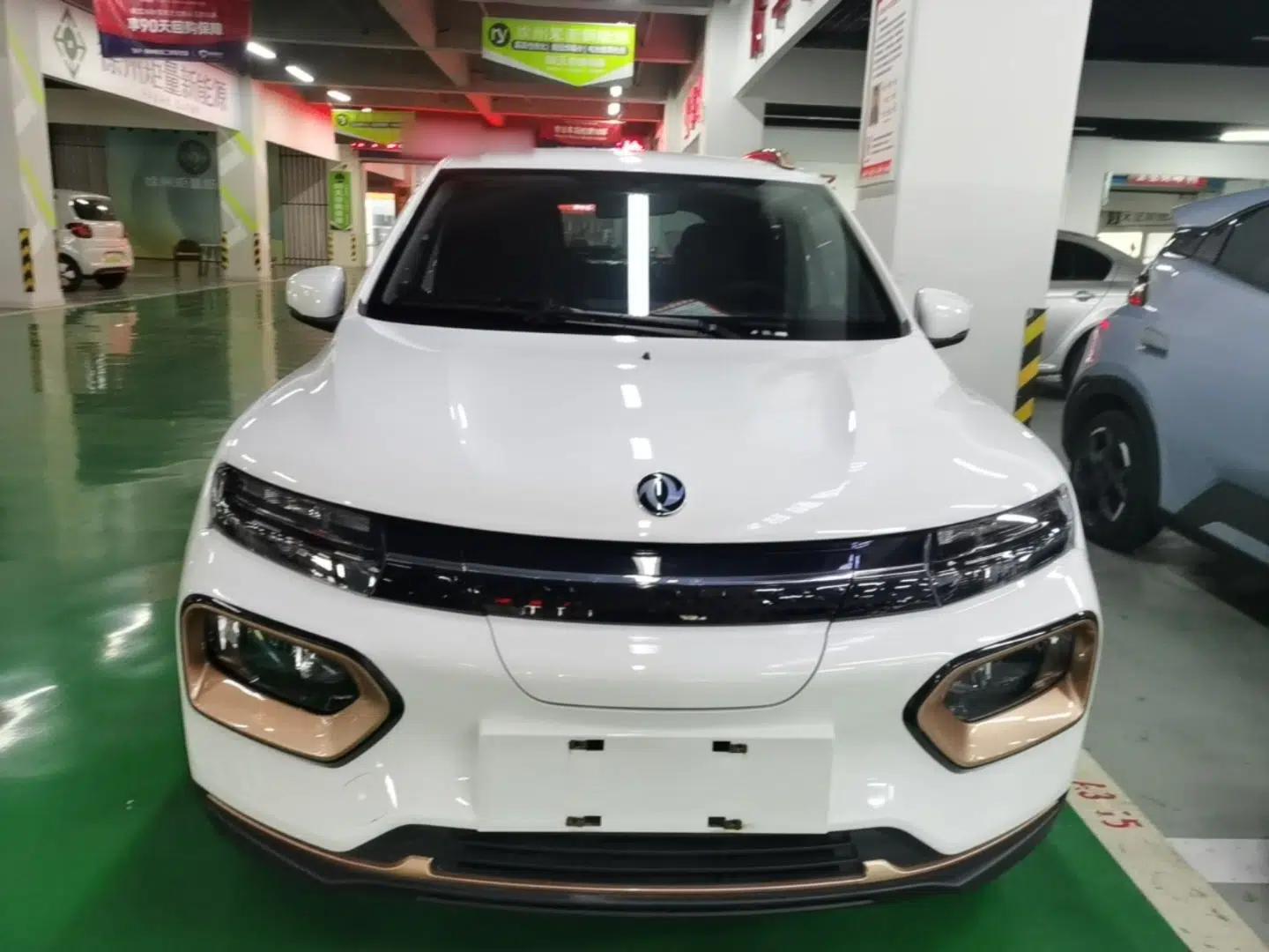 Dongfeng NAMMI BOX 2022 Chasing Wind Edition 331KM Advanced Model — миниатюра 2
