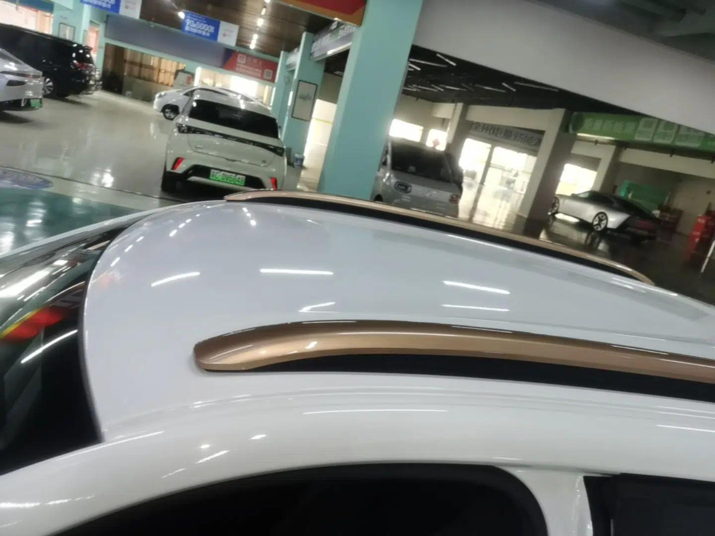 Dongfeng NAMMI BOX 2022 Chasing Wind Edition 331KM Advanced Model — миниатюра 11