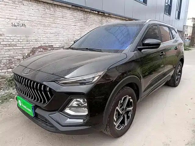 Sihao X8 2021 300T DCT Panoramic Luxury Edition 5-seater