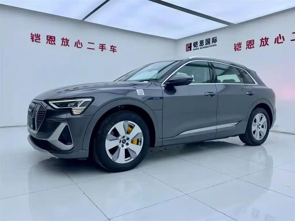 Audi e-tron 2021 50 quattro Luxury — миниатюра 1