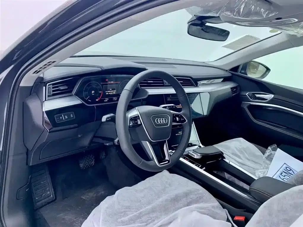Audi e-tron 2021 50 quattro Luxury — миниатюра 15